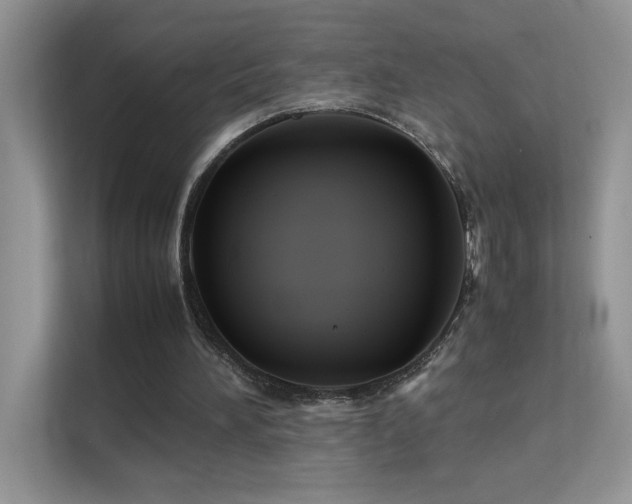 X0000112210196200908071501