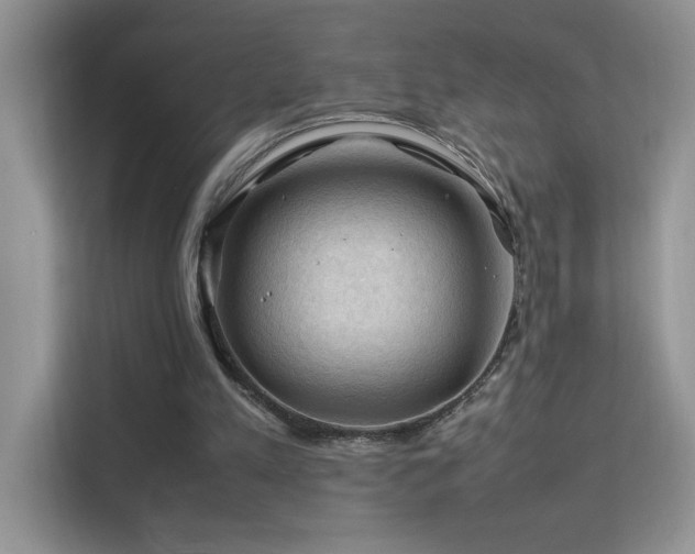 X0000112210197200908071501