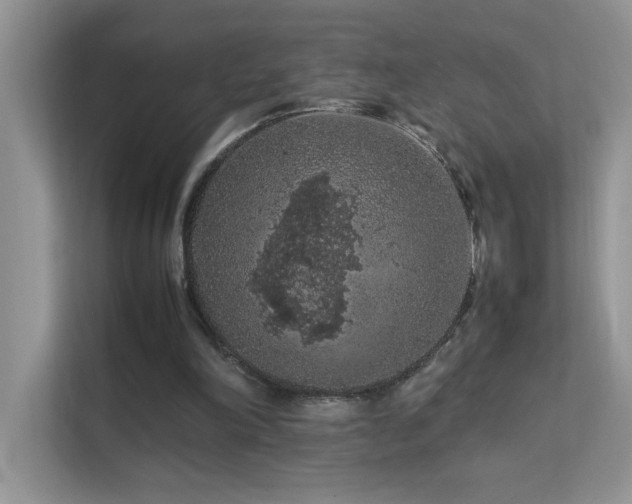 X0000112210198200908071501