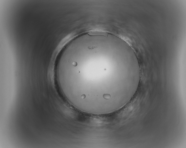 X0000112210199200908071501