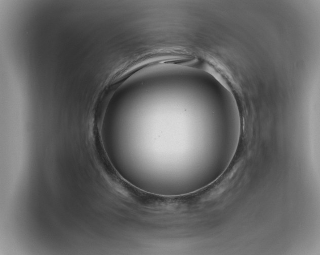 X0000112210201200908071501