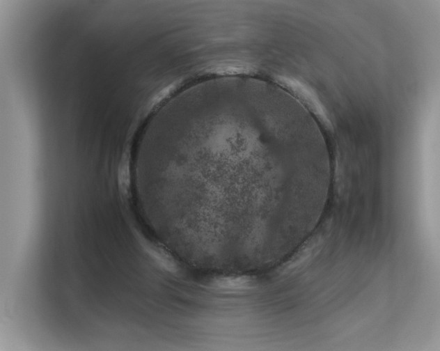 X0000112210202200908071501