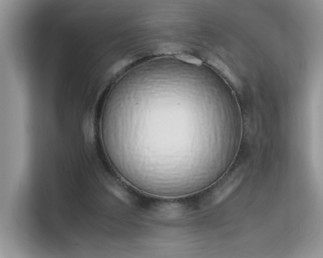 X0000112210203200908071501