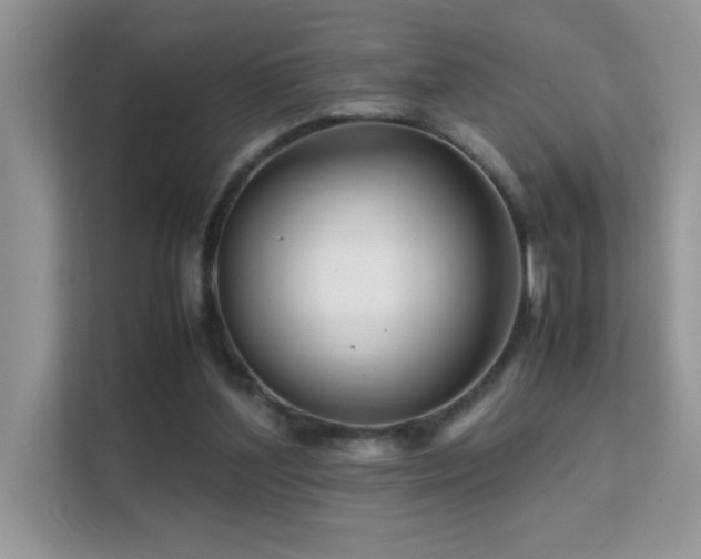 X0000112210204200908071501