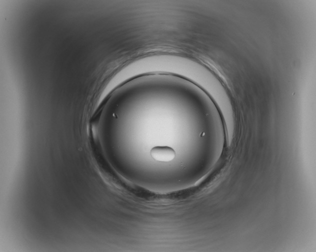 X0000112210205200908071501