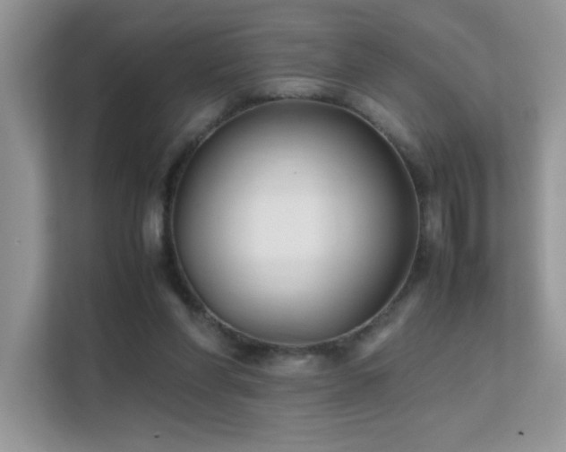 X0000112210206200908071501