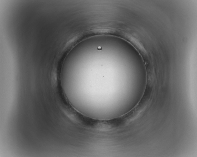 X0000112210207200908071501