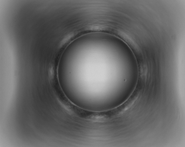 X0000112210208200908071501