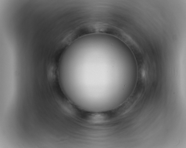 X0000112210218200908071500