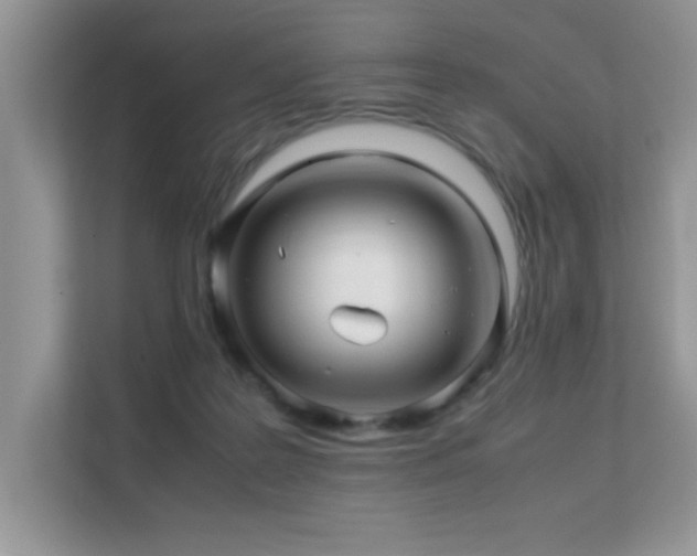 X0000112210219200908071500