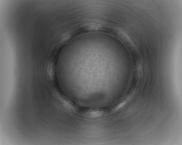 X0000112210228200908071500