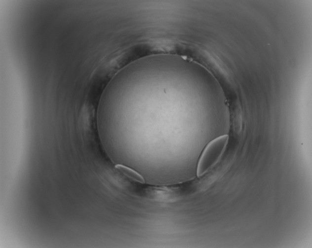 X0000112210229200908071500