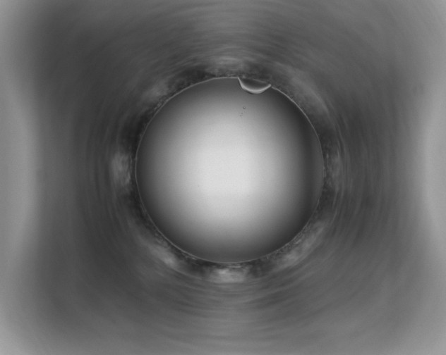 X0000112210232200908071500