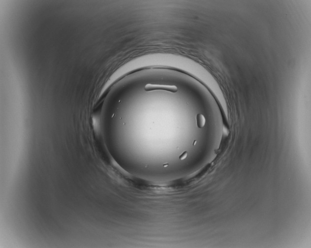 X0000112210233200908071500