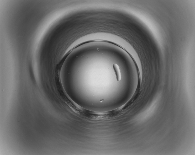 X0000112210239200908071500