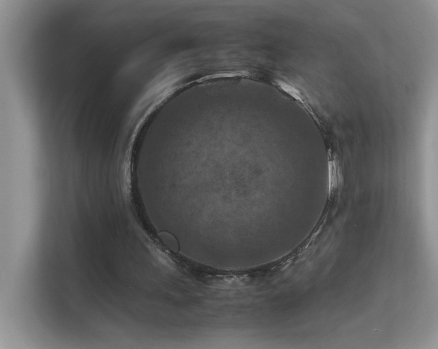 X0000112210243200908071500