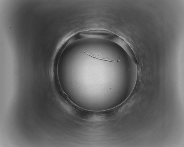 X0000112210248200908071500