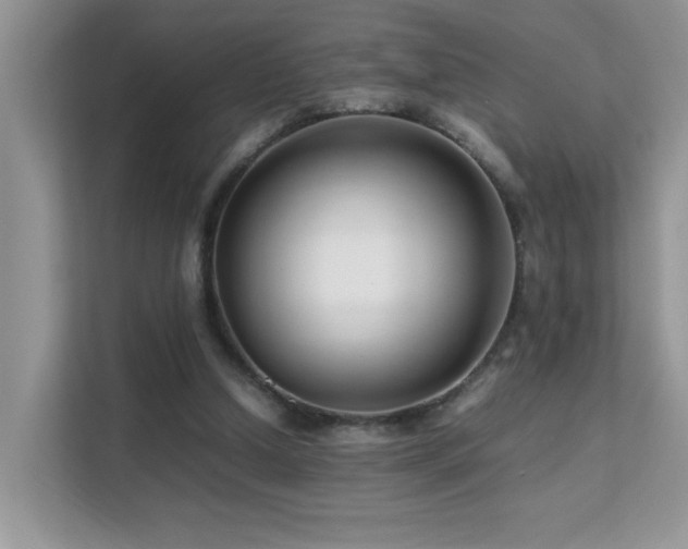 X0000112210250200908071500