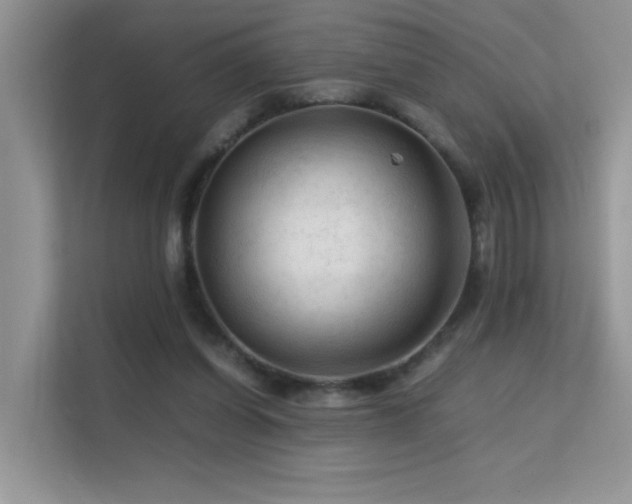 X0000112210254200908071500