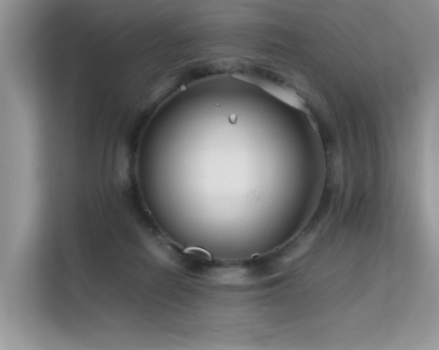 X0000112210266200908071500