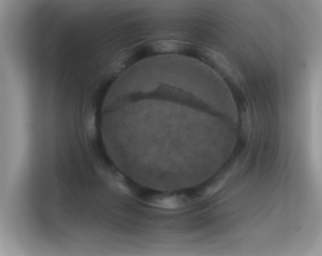 X0000112210267200908071500