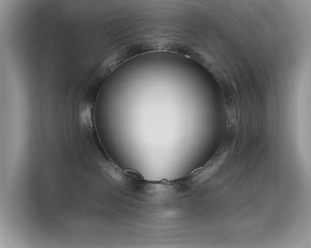 X0000112210286200908071500