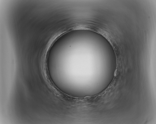X0000112210289200908071459
