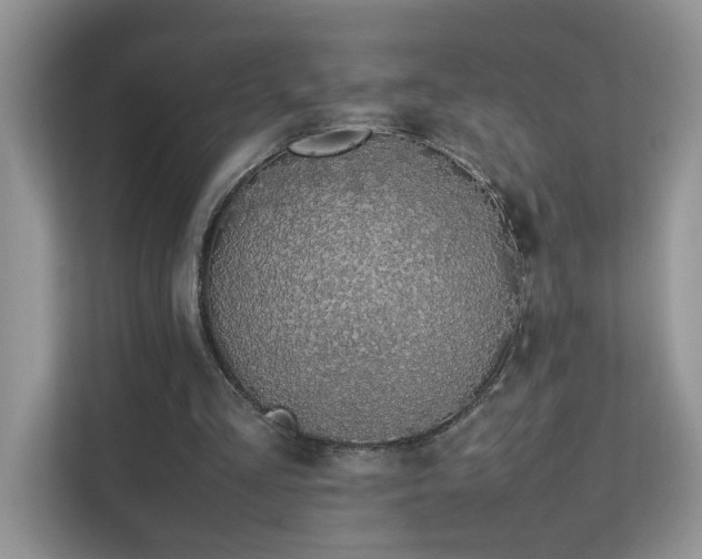 X0000112210293200908071459