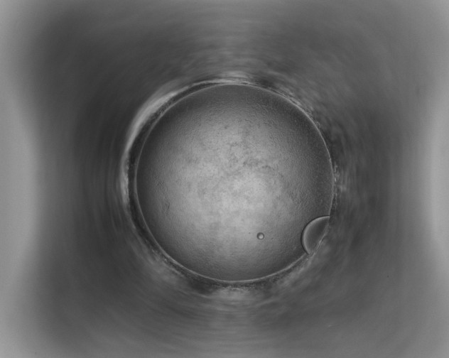 X0000112210294200908071459