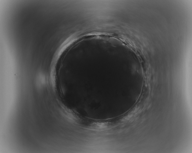 X0000112210295200908071459