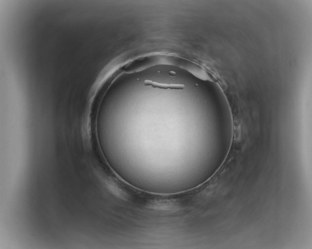 X0000112210296200908071459