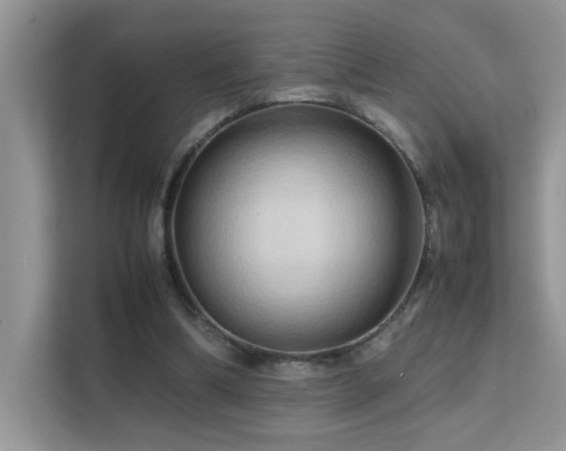 X0000112210298200908071459