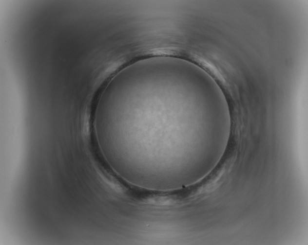 X0000112210299200908071459