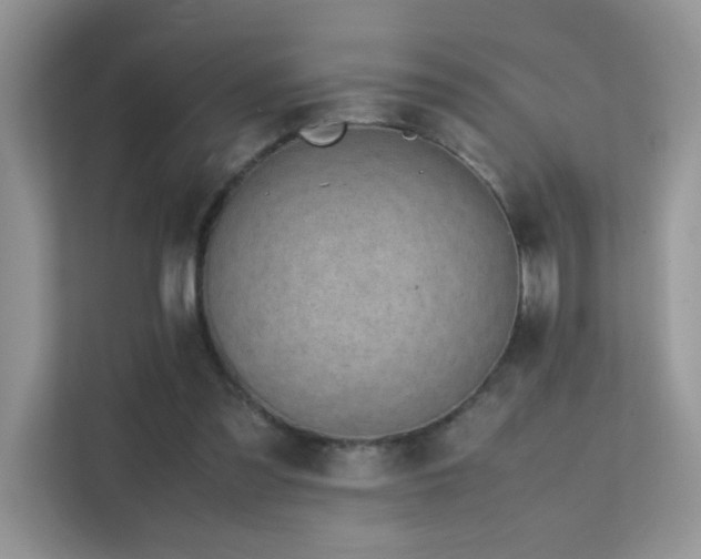 X0000112210301200908071459