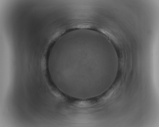 X0000112210303200908071459