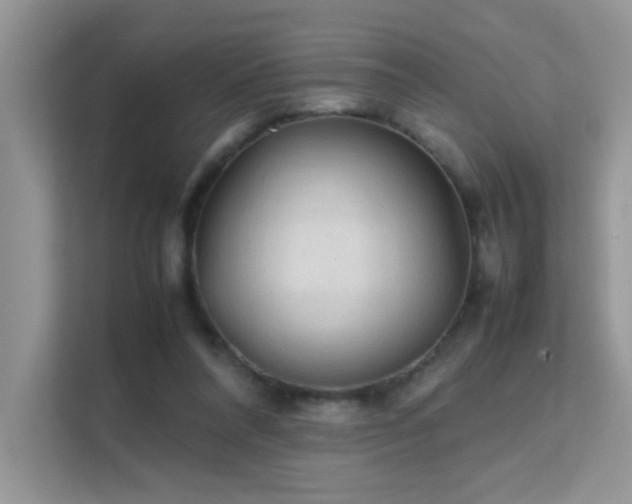 X0000112210304200908071459