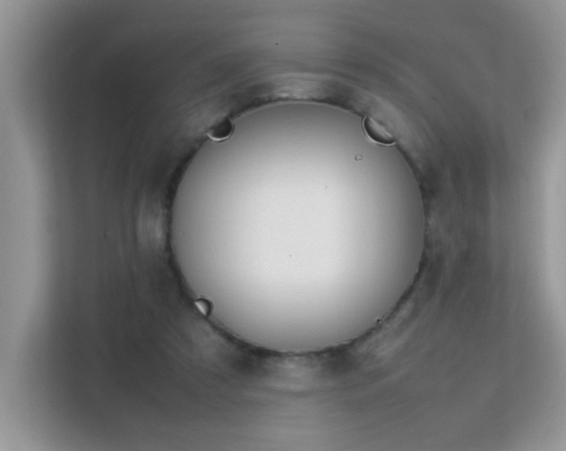 X0000112210305200908071459