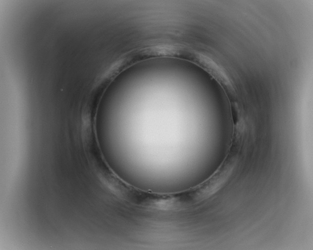 X0000112210306200908071459