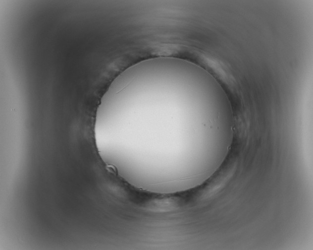 X0000112210307200908071459