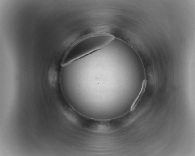 X0000112210308200908071459