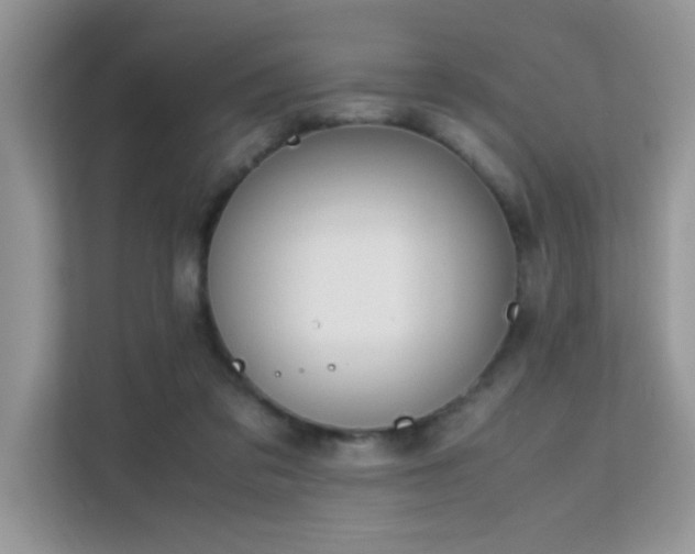 X0000112210309200908071459