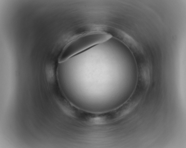 X0000112210312200908071459