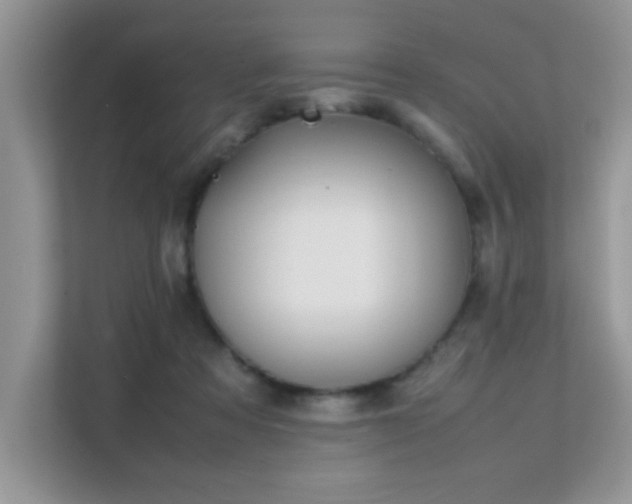 X0000112210313200908071459