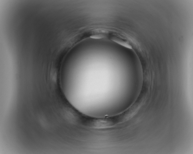 X0000112210315200908071459