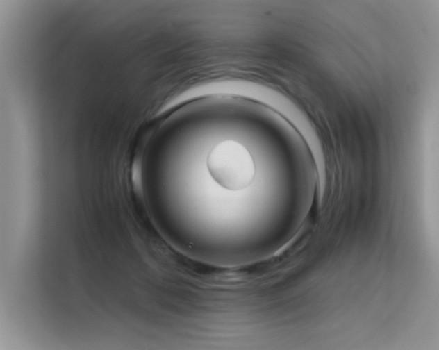 X0000112210316200908071459