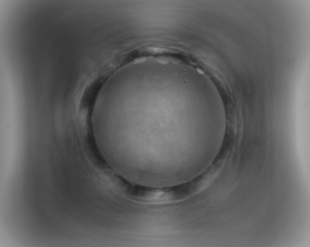 X0000112210319200908071459