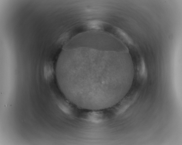 X0000112210320200908071459