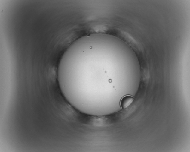 X0000112210321200908071459