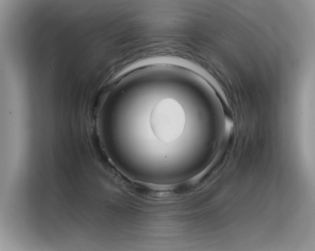 X0000112210324200908071459