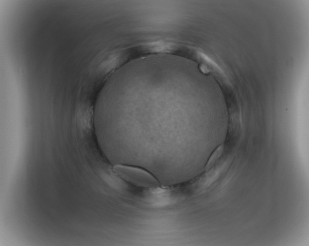 X0000112210325200908071459
